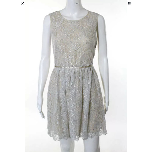 ERIN FETHERSTON SILVER DELICATE DRESS - Picture 1 of 5